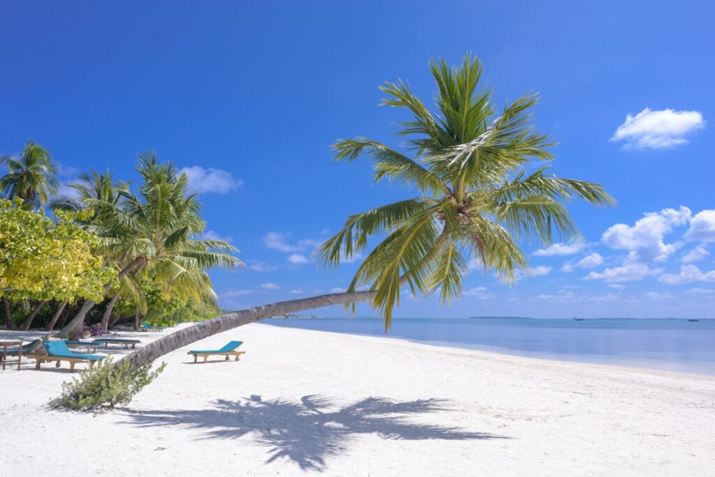 Memorial Day weekend – Memorial Day weekend 2026 USA Plan
