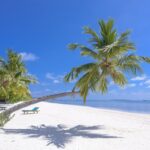 Memorial Day weekend – Memorial Day weekend 2026 USA Plan