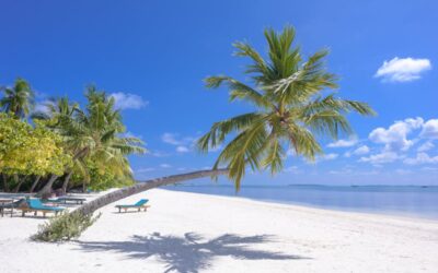 Memorial Day weekend – Memorial Day weekend 2026 USA Plan