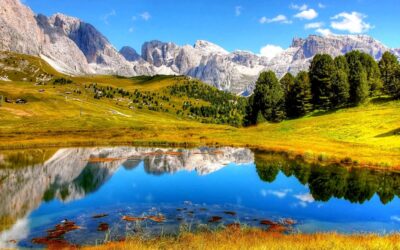 Yellowstone May – Yellowstone in May 2026 Spring