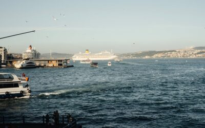 Cruise ship at a US port where ESTA cruise processing time matters