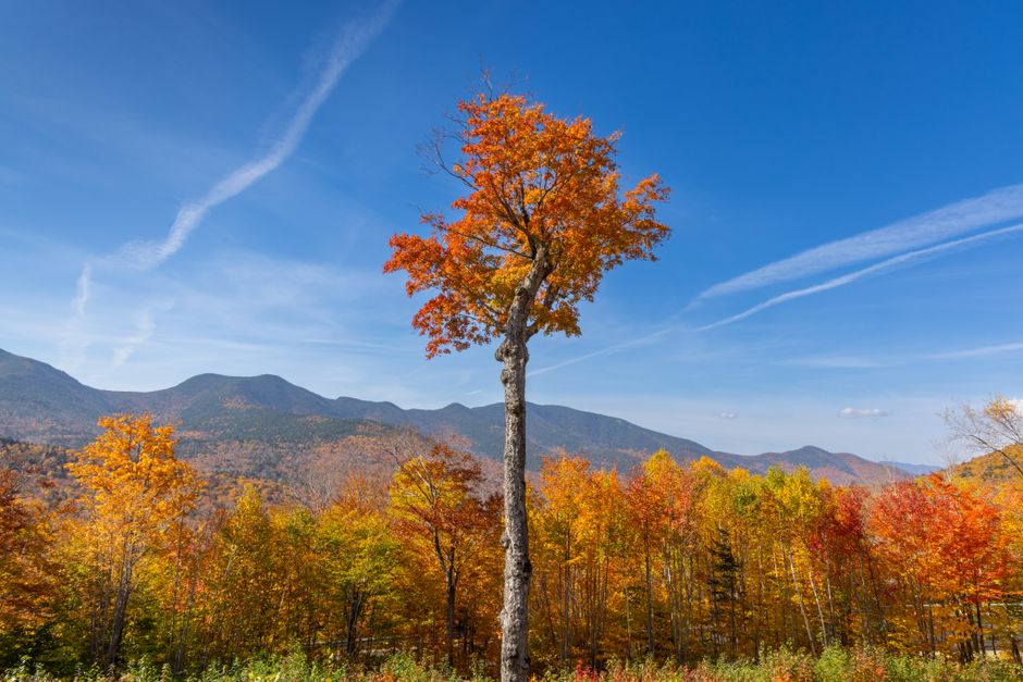 Rental car on a mountain byway during a New England fall foliage road trip
